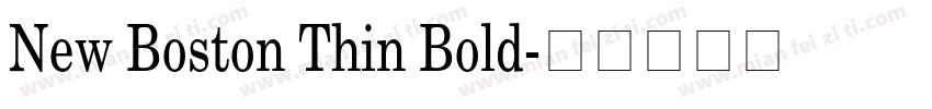 New Boston Thin Bold字体转换